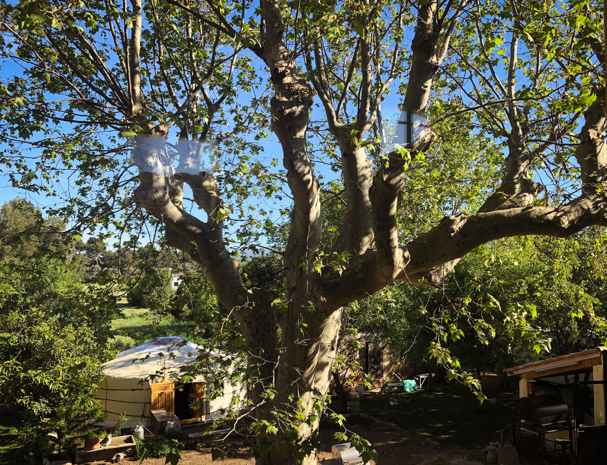 La Yourte Koundal s&rsquo;installe au Moulin de Florette — Bains Sonores à Marseille Château-Gombert